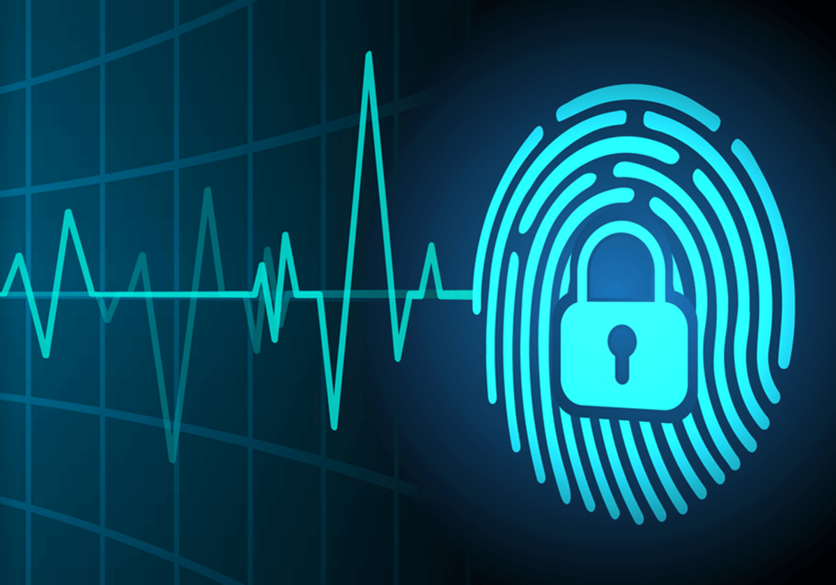 HEALTH SECTOR VULNERABILITIES IN CYBERSPACE