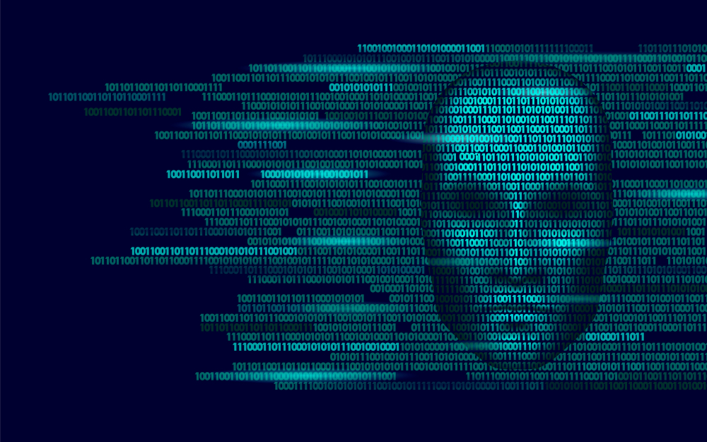 THE DIGITAL CLOAK – ANONYMITY in CYBERSPACE